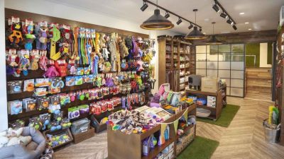 پت شاپ های عمده فروش تهران